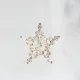 Star - Brooch Ara - 1